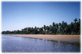 beach front lot, barcelo playa tambor